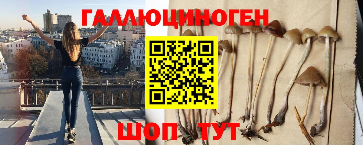 Коломна  Галлюциногенные грибы Magic Shrooms  Вход с VPN 